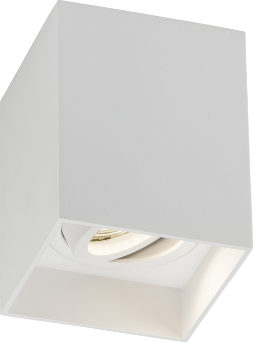 Oran Surface Tilt Square Downlight White